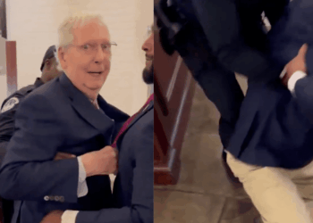 Mitch McConnell, 83, Trips and Falls While Answering Question About ICE [Video]
