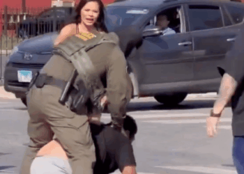 Chicago Residents Step In to Halt Alleged ICE Abduction [Video]