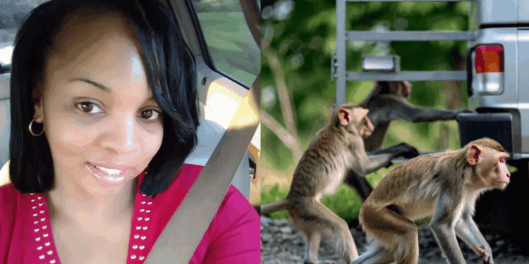Mississippi Mother Cleared After Shooting Escaped Lab Monkey in Her Backyard
