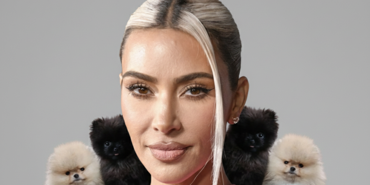 Kim Kardashian Gets Checked by PETA After Gifting Her Four Kids Puppies for Christmas: “Puppies Are Not Plushies”