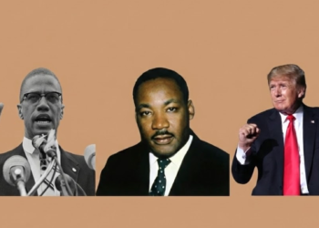 National Park Service Drops MLK Day and Juneteenth From Free Entry List, Adds Donald Trump’s Birthday