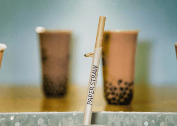 Florida Wants Plastic Straws Back -- Lawmakers Say Paper Straws May Be a Health Risk