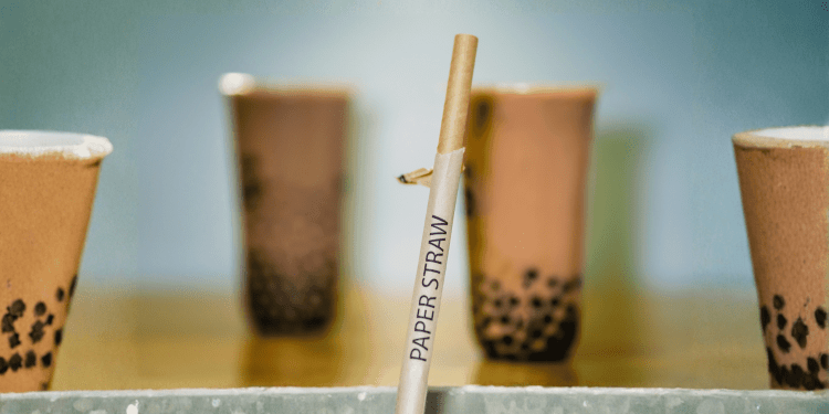 Florida Wants Plastic Straws Back -- Lawmakers Say Paper Straws May Be a Health Risk
