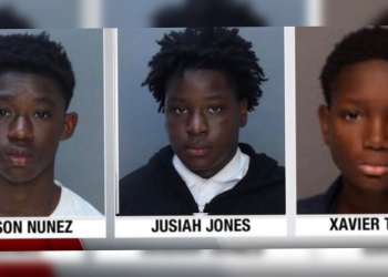 Miami Overtown juveniles charged as adults in 12-year-old assault case