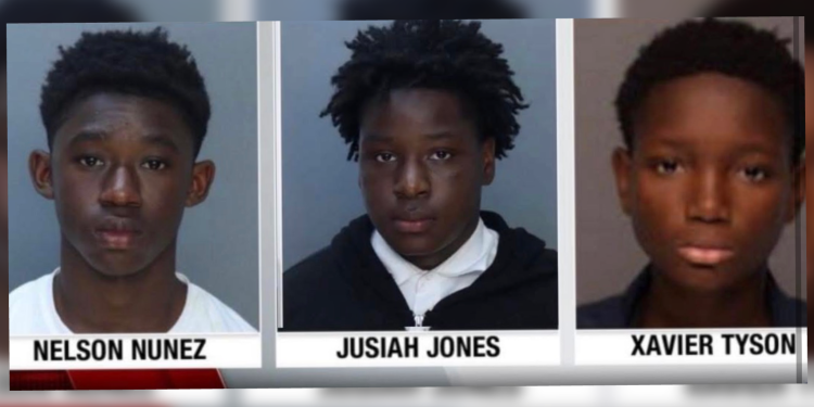 Miami Overtown juveniles charged as adults in 12-year-old assault case