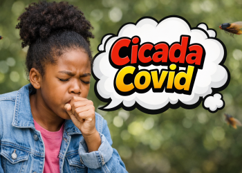 BA.3.2 “Cicada” COVID Variant Spreads Fast as Symptoms Shift