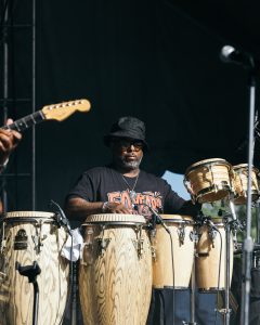 50YEAROFGOGO_shaunllewellyn__SHAUN LLEWELLYN_ROOTS PICNIC 26 DAY1_-4 - Baller Alert 50 years of gogo