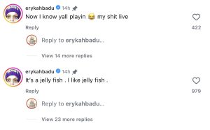 erykah badu comments - Baller Alert erykah badu comments on roots picnic