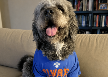A Family Dog In A Knicks Jersey Is Dead After A Neighbor Called LAPD On A Lady Celebrating