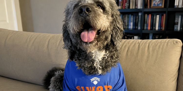 A Family Dog In A Knicks Jersey Is Dead After A Neighbor Called LAPD On A Lady Celebrating