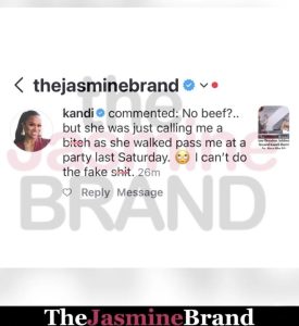 Screenshot of a social media post by thejasminebrand quoting a comment about being called a 'bitch' at a party last Saturday (informative, contextual).
