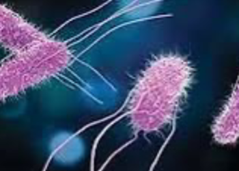 Explosive diarrhea parasite Cyclospora spreading across 31 states after CDC surveillance cuts