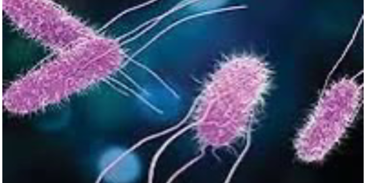Explosive diarrhea parasite Cyclospora spreading across 31 states after CDC surveillance cuts