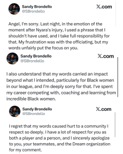sandy-brondello-tweets - Baller Alert Sandy Brondello Apology Tweets