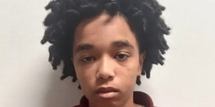 Georgia Teen Gets Life For Killing Her Mother After Backing Out Of A School Shooting
