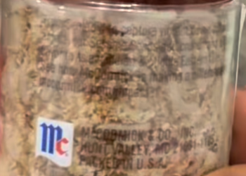 mccormick maggot seeds