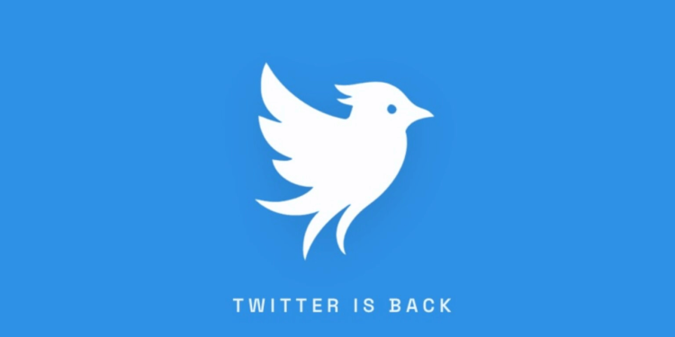 Twitter Came Back Without Elon Musk: The New Version Costs $20 And X Is Already In A Legal War