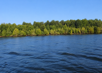 A Whole Island Started Floating Across a Canadian Reservoir, Then It Disappeared
