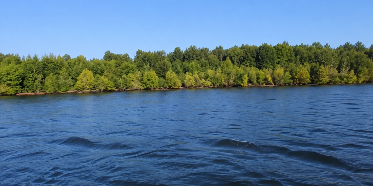 A Whole Island Started Floating Across a Canadian Reservoir, Then It Disappeared