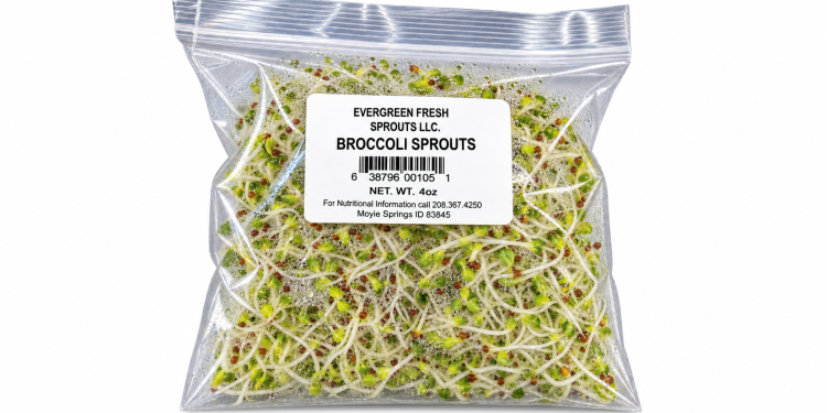Check That Fridge ASAP: Broccoli Sprouts Recalled After Salmonella Sickens 22 People In 4 States
