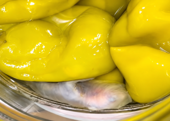 Viral Video Allegedly Shows A Dead Mouse Inside A Jar Of Peppers, Now Mezzetta Is Pulling Them Off Shelves