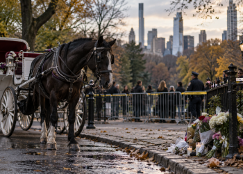 Central Park horse carriages